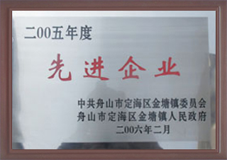 2005年度先進企業(yè)